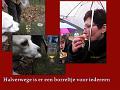 Winterwandeling-Kiewit (23)